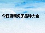 今日更新兔子品種大全