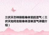 三伏天怎樣排除身體里的濕氣（三伏天如何去除身體濕寒濕氣詳細(xì)介紹）