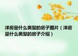 洋房是什么類型的房子圖片（洋房是什么類型的房子介紹）
