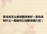 黑烏龍?jiān)趺春葴p肥效果好（黑烏龍和什么一起喝可以減肥詳細(xì)介紹）