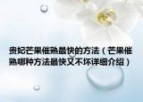 貴妃芒果催熟最快的方法（芒果催熟哪種方法最快又不壞詳細(xì)介紹）
