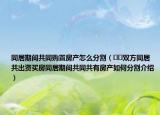同居期間共同購置房產(chǎn)怎么分割（??雙方同居共出資買房同居期間共同共有房產(chǎn)如何分割介紹）