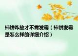 柿餅咋放才不肯發(fā)霉（柿餅發(fā)霉是怎么樣的詳細(xì)介紹）