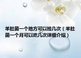 羊肚菌一個(gè)地方可以撿幾次（羊肚菌一個(gè)月可以吃幾次詳細(xì)介紹）