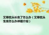 艾草枕頭長(zhǎng)蟲(chóng)了怎么辦（艾草枕頭生蟲(chóng)怎么辦詳細(xì)介紹）