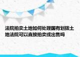 法院拍賣土地如何處理國有劃撥土地法院可以直接拍賣或出售嗎