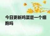 今日更新雞蛋是一個(gè)細(xì)胞嗎