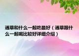 通草和什么一起吃最好（通草跟什么一起喝比較好詳細(xì)介紹）