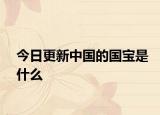 今日更新中國的國寶是什么