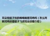 耳朵有蚊子似的嗡嗡響是耳鳴嗎（怎么判斷耳鳴還是蚊子飛進(jìn)耳朵詳細(xì)介紹）
