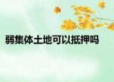 弱集體土地可以抵押嗎