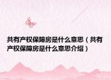 共有產(chǎn)權(quán)保障房是什么意思（共有產(chǎn)權(quán)保障房是什么意思介紹）