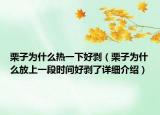 栗子為什么熱一下好剝（栗子為什么放上一段時(shí)間好剝了詳細(xì)介紹）