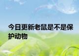 今日更新老鼠是不是保護動物