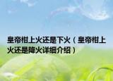 皇帝柑上火還是下火（皇帝柑上火還是降火詳細介紹）