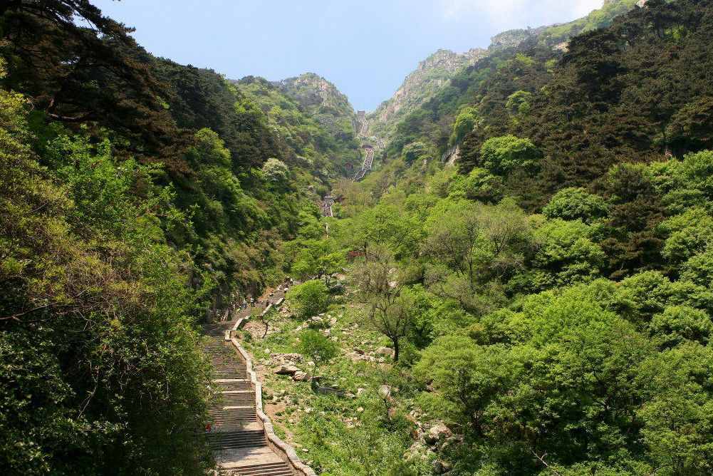 唐詩閑讀：“會當凌絕頂，一覽眾山小”