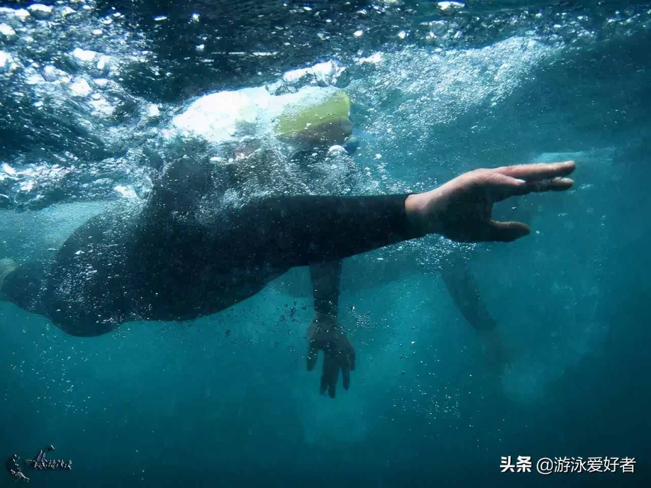 4種游泳姿勢的劃水動作分析，各不相同