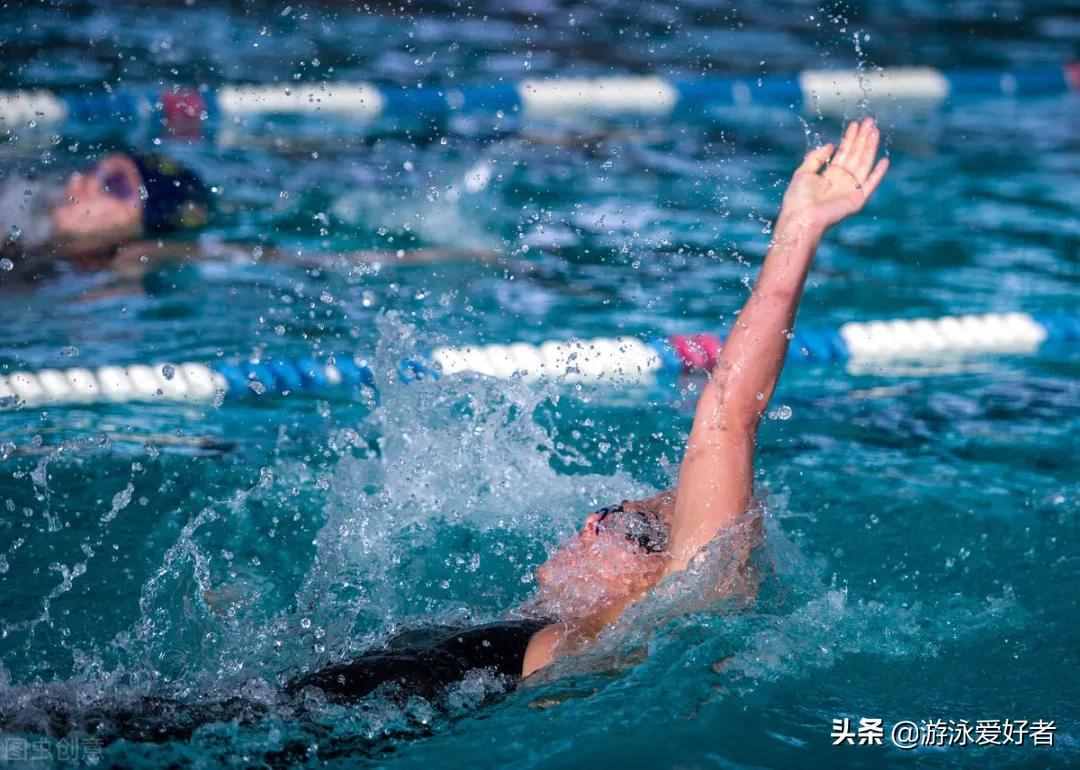 4種游泳姿勢的劃水動作分析，各不相同