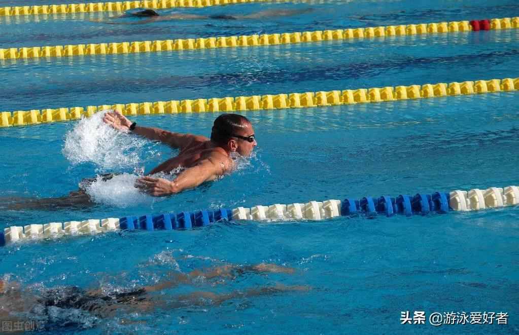 4種游泳姿勢的劃水動作分析，各不相同