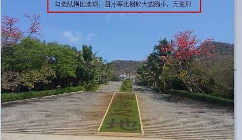 如何修改圖片大??？改變圖片大小的方法技巧