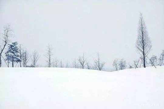 艾青：雪落在中國的土地上