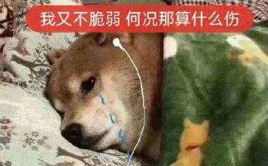 網(wǎng)抑云夜來非語錄文案經(jīng)典臺(tái)詞 今天網(wǎng)抑云夜來非時(shí)間提前