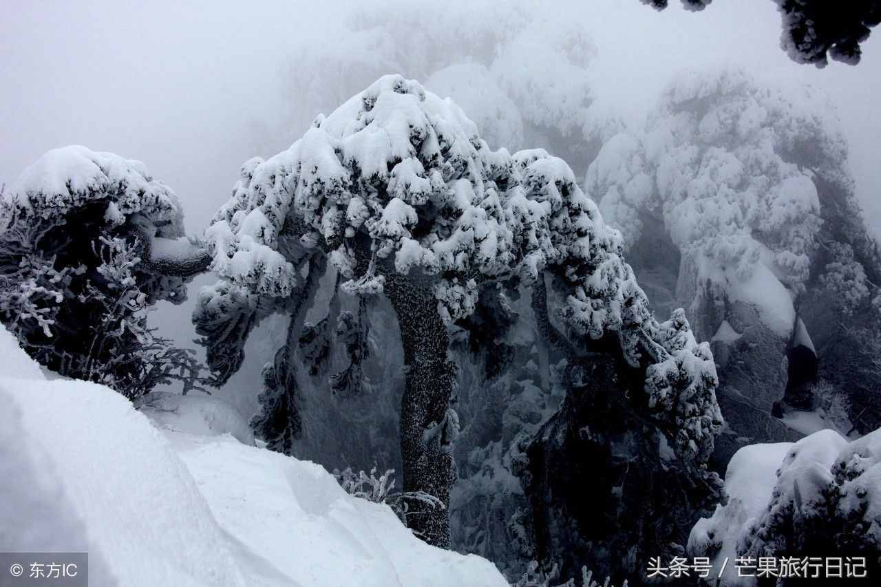 黃山有多美，旅行大神徐霞客說：五岳歸來不看山，黃山歸來不看岳