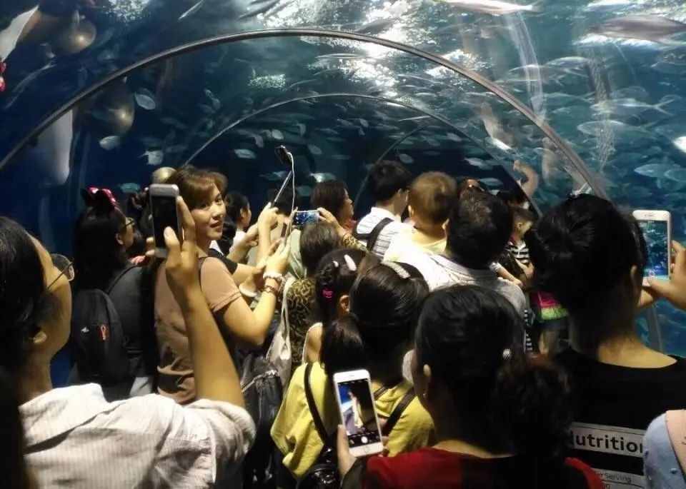 五一人擠人？金山周邊小眾景點(diǎn)好玩又好拍，趕緊看過來