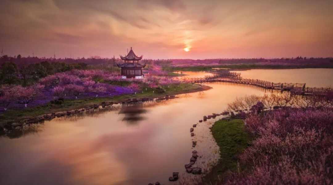 五一人擠人？金山周邊小眾景點(diǎn)好玩又好拍，趕緊看過來