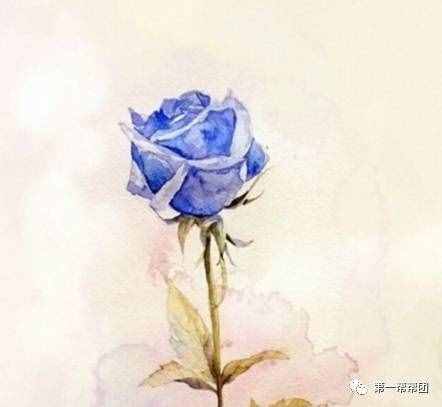 Word天！“藍(lán)色妖姬”居然是這么做出來的，你今天收到的花是不是也是這樣的！