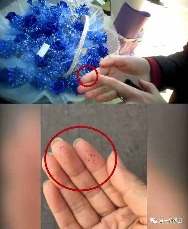 Word天！“藍(lán)色妖姬”居然是這么做出來的，你今天收到的花是不是也是這樣的！