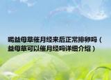 喝益母草催月經(jīng)來(lái)后正常排卵嗎（益母草可以催月經(jīng)嗎詳細(xì)介紹）