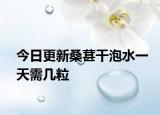 今日更新桑葚干泡水一天需幾粒