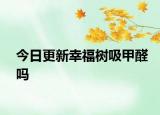 今日更新幸福樹吸甲醛嗎