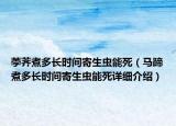 荸薺煮多長(zhǎng)時(shí)間寄生蟲(chóng)能死（馬蹄煮多長(zhǎng)時(shí)間寄生蟲(chóng)能死詳細(xì)介紹）