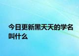 今日更新黑天天的學(xué)名叫什么