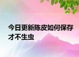 今日更新陳皮如何保存才不生蟲(chóng)