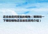 適合放房間里面的植物（弱弱問一下哪些植物適合放在房間介紹）