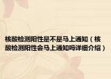 核酸檢測(cè)陽(yáng)性是不是馬上通知（核酸檢測(cè)陽(yáng)性會(huì)馬上通知嗎詳細(xì)介紹）