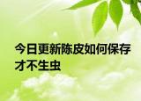 今日更新陳皮如何保存才不生蟲