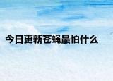 今日更新蒼蠅最怕什么