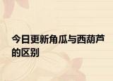 今日更新角瓜與西葫蘆的區(qū)別