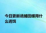 今日更新誘捕田螺用什么誘餌