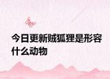 今日更新賊狐貍是形容什么動(dòng)物