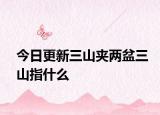 今日更新三山夾兩盆三山指什么
