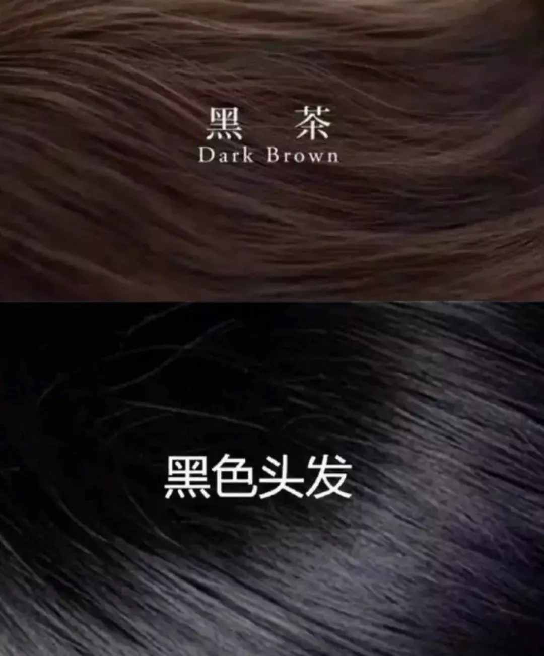 今春最火的5個(gè)發(fā)色！高級(jí)又顯白，誰(shuí)染誰(shuí)先美?。?class=