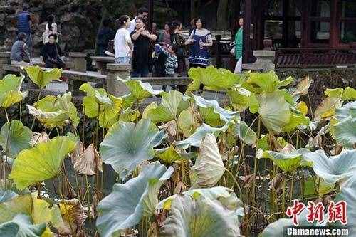 吃螃蟹、賞秋色……寒露習(xí)俗知多少？