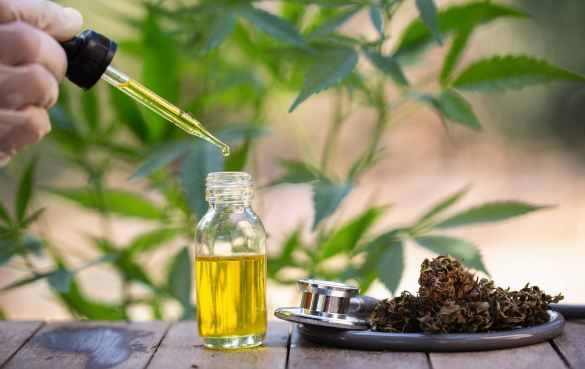 什么是CBD？