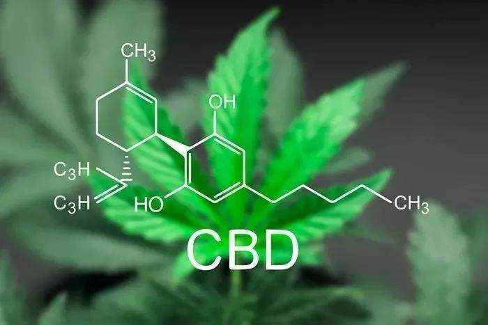 什么是CBD？