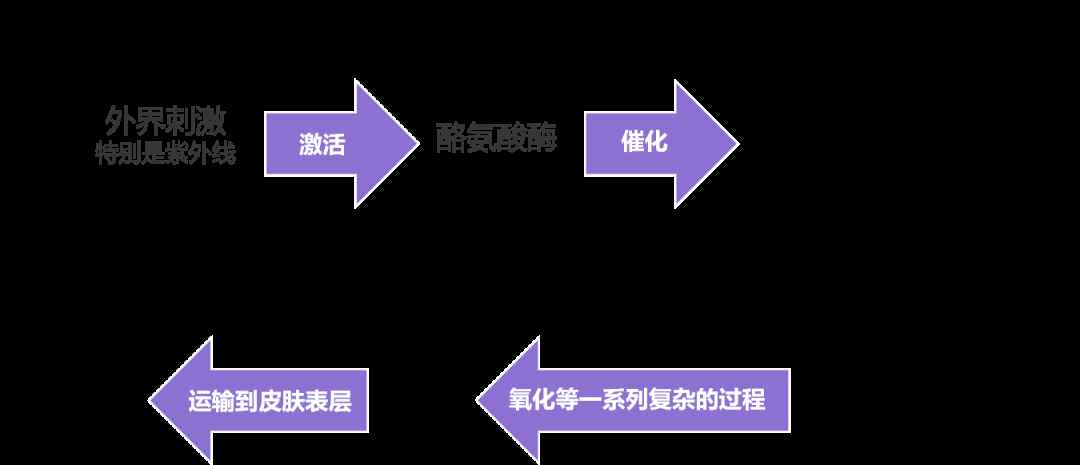 公開處刑：美白針、美白丸沒用，這 3 招才能讓你白白白